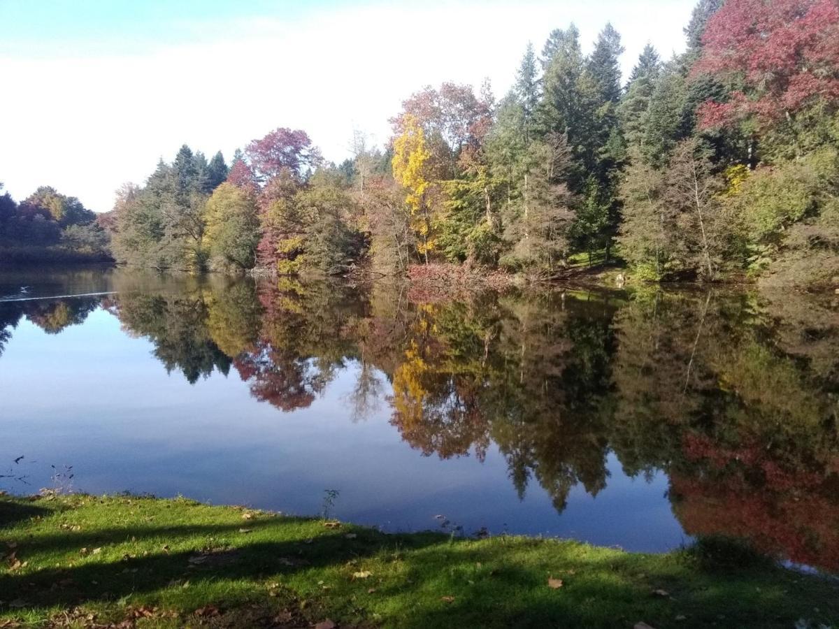 Gite De L'Arboretum Dompierre-les-Ormes Exteriör bild